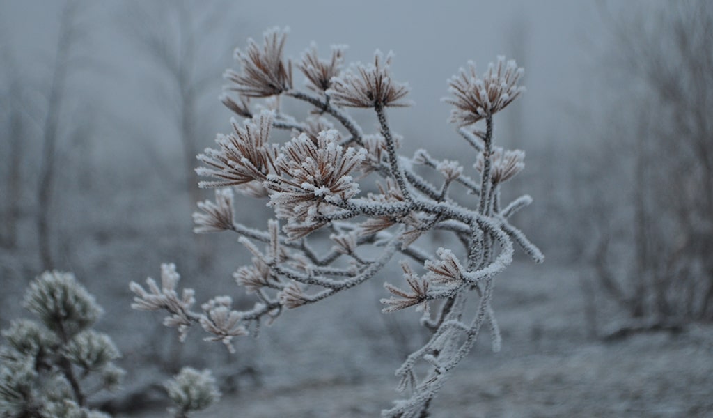 sappo_winter_glass_defroster_02